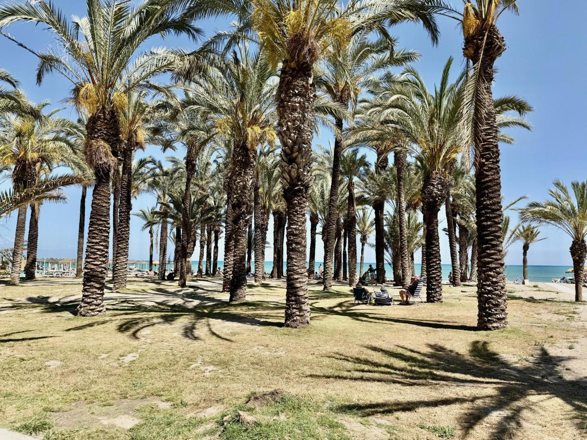 A3 - Loft Nidos Appartement Torremolinos